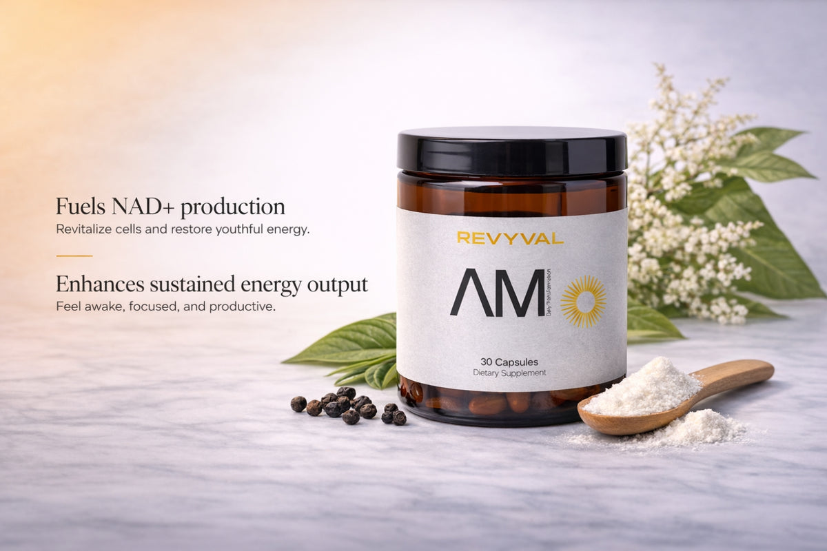 The Revyval System + VIP Coaching Bundle