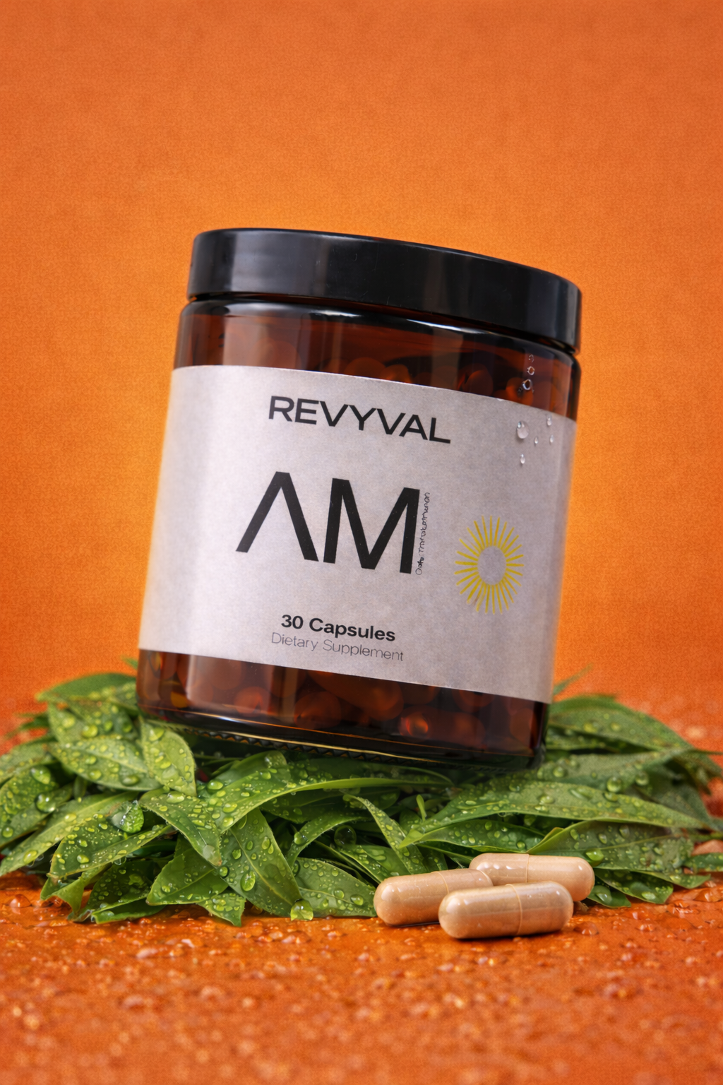 The Complete Revyval System